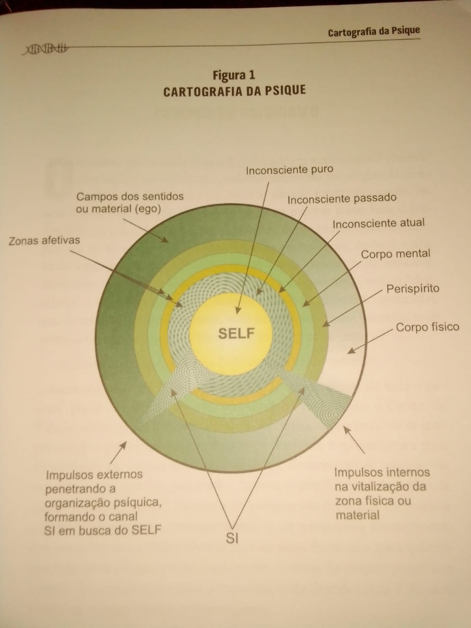 esquema do ser integral 